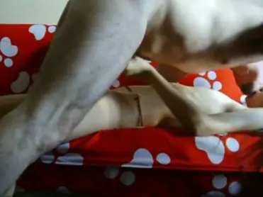 Live ABG Bispak Jakarta Hotel Skandal Viral Streaming